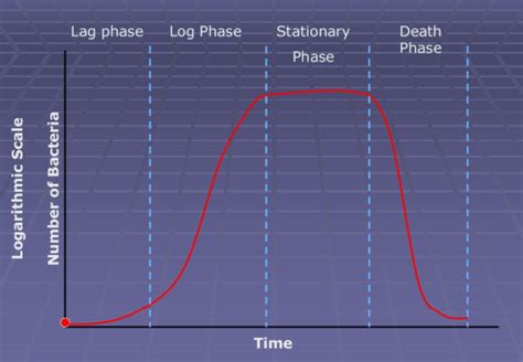 Sigmoid growth curve is represented by (a) $\\dfrac{dN}{dt}=rN$ (b ...