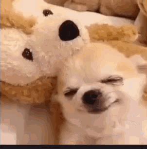 Dog Sleeping GIF - Dog Sleeping Cuddle - Discover & Share GIFs