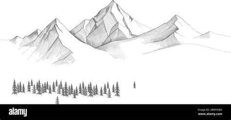 Mountain Landscape, forest pine trees sketch. Hand drawn vector ...