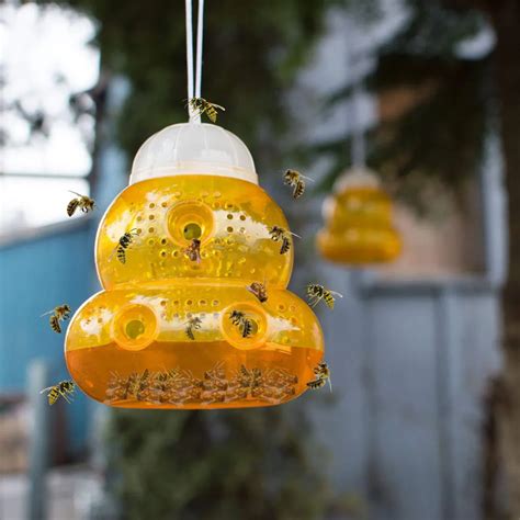 Wasp catcher Wasp Fly Flies Insects Hanging Trap Catcher Killer Outdoor ...