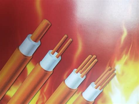 MINERAL INSULATED COPPER CABLE (MICC) China Manufacturer