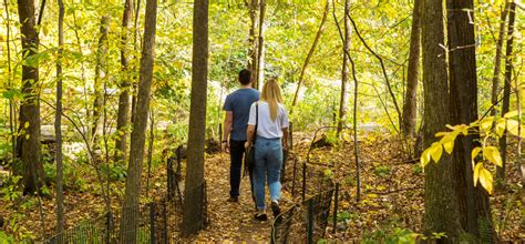 Guide to Fall Foliage in Central Park | Central Park Conservancy