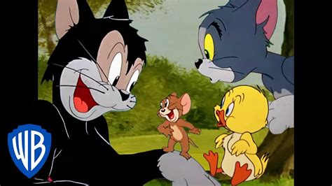 Tom And Jerry Cartoon Characters Names - Infoupdate.org