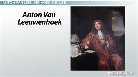 Anton Van Leeuwenhoek | Cell Theory, Discoveries & Contributions ...