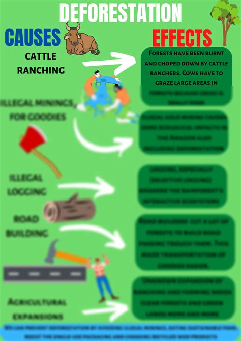 SOLUTION: Deforestation Explanation and Poster - Studypool