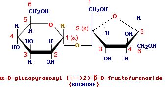 Fructose - beta - sucrose | Student Doctor Network