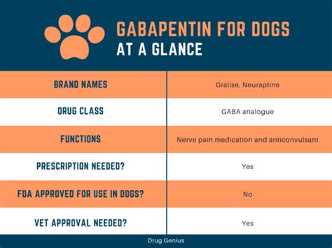 Gabapentin for Dogs - Is It Safe? Dosage and Side Effects - Drug Genius