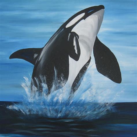 Orca Painting by Cathy Jacobs - Fine Art America