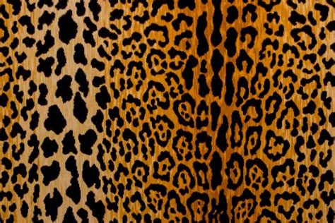 Leopard Print Fabric by the Yard | Animal Prints Fabric - The Fabric Mill