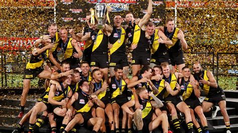 AFL grand final 2020: Richmond crowned premiers as Dustin Martin leads ...