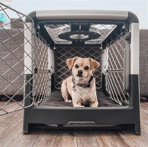 Modern Dog Crates: 7 Stylish Safe Havens - Great Pet Living