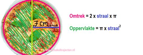 Les 8: Cirkel omtrek en oppervlakte - Schakeltrajecten Nederland