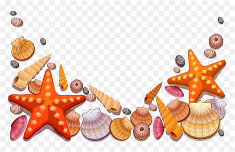 Seashell Clip Art - Sea Shells Clipart Png, Transparent Png - vhv