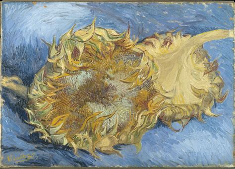 Rare collection of Van Gogh paintings to be displayed in Philadelphia ...