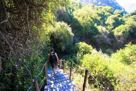 Hiking The Waterfall Trail - Tsitsikamma National Park - Braai Brothers