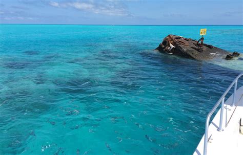 Snorkeling In Bermuda's Coral Reef | Bermuda.com