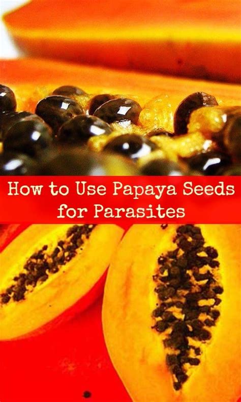 Papaya Seeds And Weight Loss - coachinginter