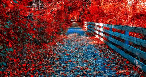 4K Ultra HD Autumn Wallpapers - Top Free 4K Ultra HD Autumn Backgrounds ...