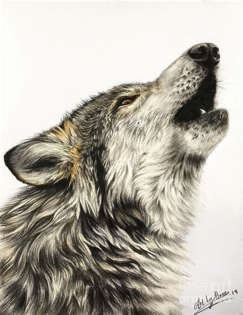 Howling Wolf Drawing - Howling Wolf by Art By Three Sarah Rebekah ...