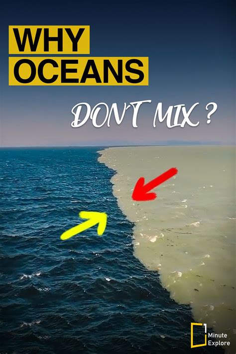 Why do the two oceans not mix ? | Two oceans meet, Types of ocean, Ocean