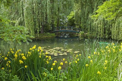 Claude Monet's Gardens at Giverny: Our Complete Guide