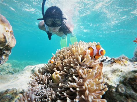 DELUXE KARIMUNJAWA SNORKELING PACKAGE | Karimunjawa Package