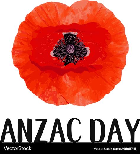 Anzac day card bright poppy flower Royalty Free Vector Image