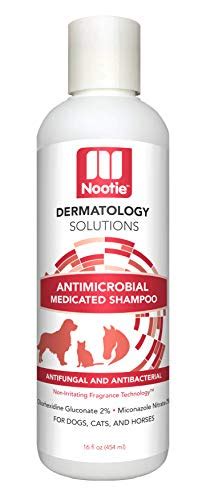 5 Best Dog Shampoos For Mange [2021 Reviews]