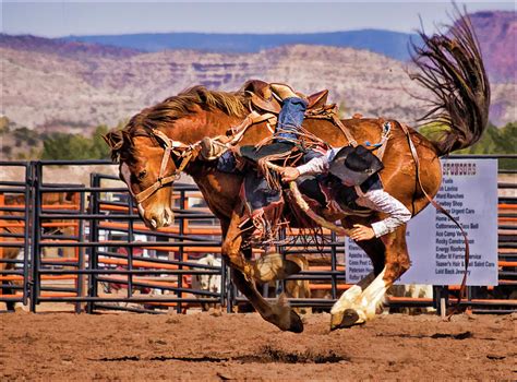 Rodeo Saddle Bronc Riding Photograph by Priscilla Burgers