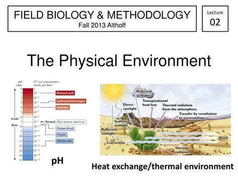 PPT - The Physical Environment PowerPoint Presentation, free download ...