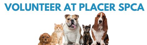 Placer SPCA - Become a volunteer and help animals in need