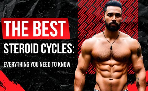 The Best Steroid Cycles: Everything You Need to Know - Strongman.org