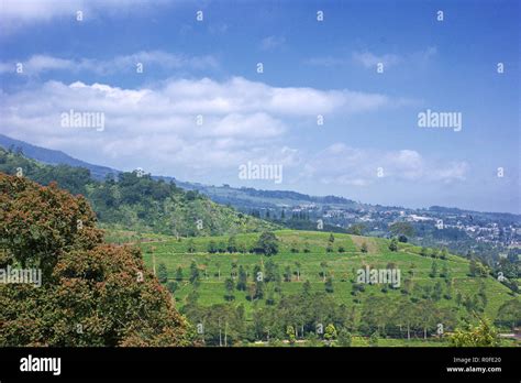 Puncak, Cisarua, Bogor, West Java, Indonesia Stock Photo - Alamy