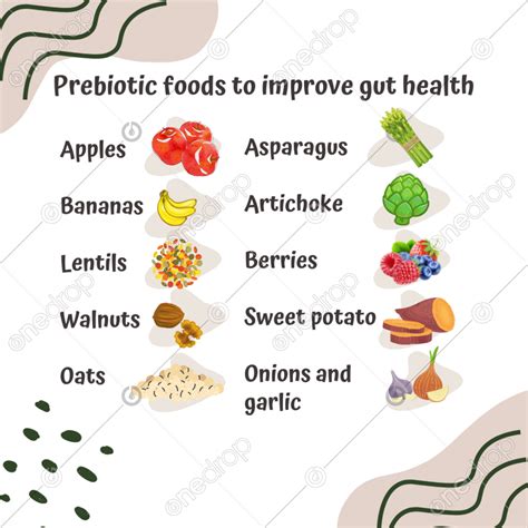 Prebiotic foods to improve gut health by Fernanda Cavaletti