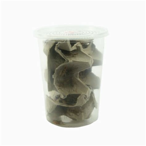 Banded Crickets - 3/4", 60 Count | Petco