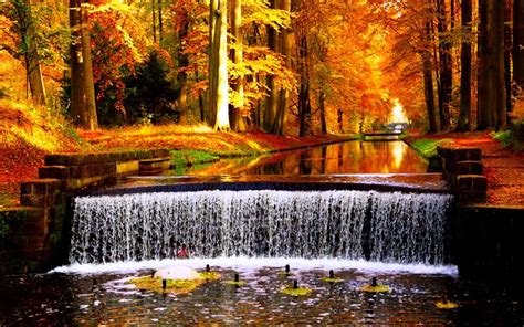 Fall Waterfall Wallpapers - Top Free Fall Waterfall Backgrounds ...