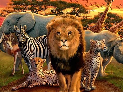 South African Animals Wallpapers - Wallpaper Cave