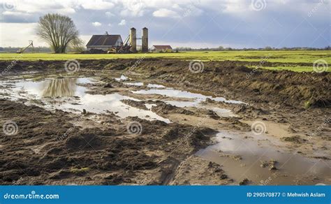 A Photo of a Manure Lagoon on a Farm Stock Illustration - Illustration ...