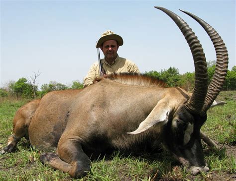 Roan Pictures | AfricaHunting.com