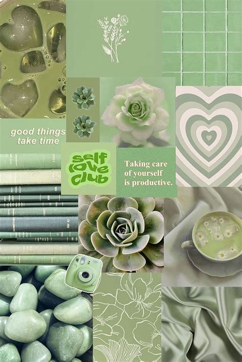 Sage green aesthetic wallpaper 💚 | Sfondi verdi, Sfondi twitter, Sfondi