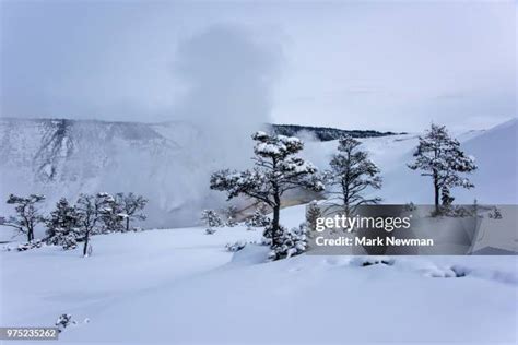 270 Mammoth Hot Springs Winter Stock Photos, High-Res Pictures, and ...