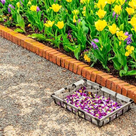 5 Favorite Flower Bed Edging Ideas | Family Handyman