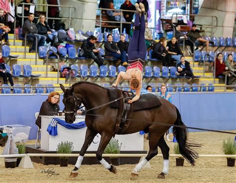 Vaulting Coaching - Wellington Park Equestrian