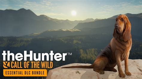 theHunter: Call of the Wild™ - Essentials DLC Bundle - Epic Games Store