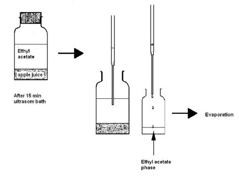 Phase separation after sonication extraction. | Download Scientific Diagram