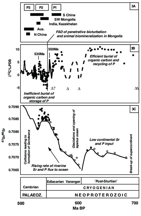 Phosphorite formation and isotope trends through the latter part of the ...