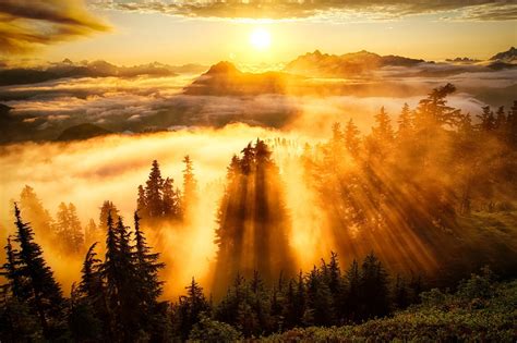 landscape, Sun Rays, Forest, Mountain, Clouds Wallpapers HD / Desktop ...