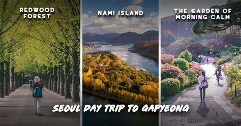 Nami Island Day Trip from Seoul: How to Cover the Best of Gapyeong ...