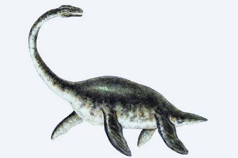 Plesiosaurs Facts - information about the extinct, prehistoric animal ...