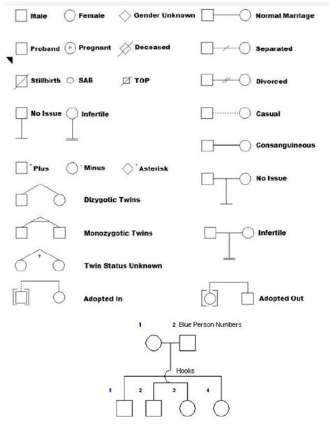 Pedigree Canvas – Desktop – Progeny Genetics